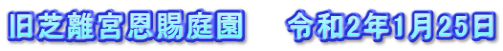 旧芝離宮恩賜庭園　　令和2年1月25日