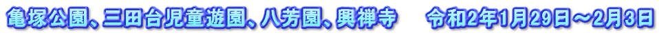 亀塚公園、三田台児童遊園、八芳園、興禅寺　　令和2年1月29日～2月3日