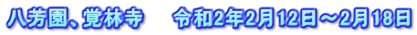 八芳園、覚林寺　　令和2年2月12日～2月18日