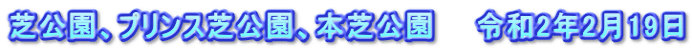 芝公園、プリンス芝公園、本芝公園　　令和2年2月19日