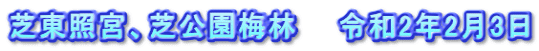 芝東照宮、芝公園梅林　　令和2年2月3日