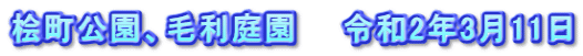 桧町公園、毛利庭園　　令和2年3月11日