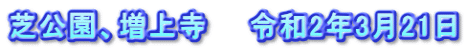 芝公園、増上寺　　令和2年3月21日