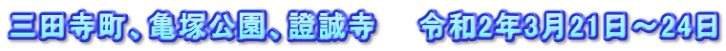 三田寺町、亀塚公園、證誠寺　　令和2年3月21日～24日
