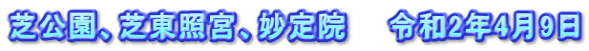 芝公園、芝東照宮、妙定院　　令和2年4月9日