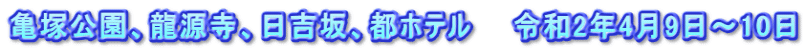 亀塚公園、龍源寺、日吉坂、都ホテル　　令和2年4月9日～10日