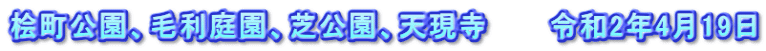 桧町公園、毛利庭園、芝公園、天現寺　　　令和2年4月19日