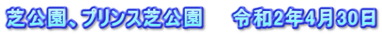 芝公園、プリンス芝公園　　令和2年4月30日
