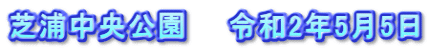 芝浦中央公園　　令和2年5月5日