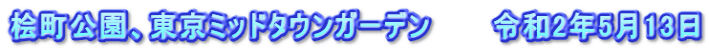 桧町公園、東京ミッドタウンガーデン　　　令和2年5月13日