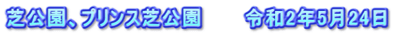 芝公園、プリンス芝公園　　　令和2年5月24日