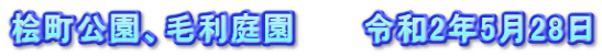 桧町公園、毛利庭園　　　令和2年5月28日