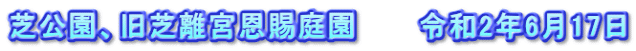 芝公園、旧芝離宮恩賜庭園　　　令和2年6月17日