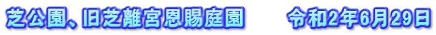 芝公園、旧芝離宮恩賜庭園　　　令和2年6月29日