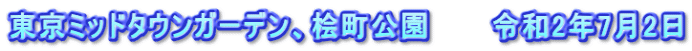 東京ミッドタウンガーデン、桧町公園　　　令和2年7月2日