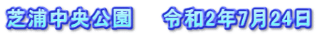 芝浦中央公園　　令和2年7月24日