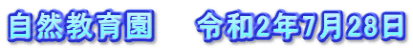 自然教育園　　令和2年7月28日
