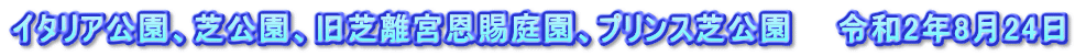 イタリア公園、芝公園、旧芝離宮恩賜庭園、プリンス芝公園　　令和2年8月24日
