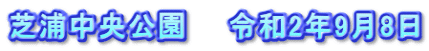 芝浦中央公園　　令和2年9月8日