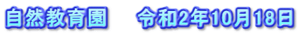 自然教育園　　令和2年10月18日