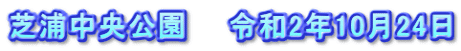 芝浦中央公園　　令和2年10月24日