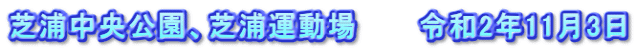 芝浦中央公園、芝浦運動場　　　令和2年11月3日