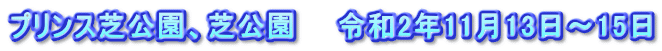 プリンス芝公園、芝公園　　令和2年11月13日～15日
