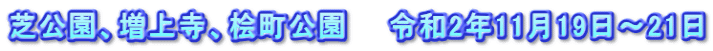 芝公園、増上寺、桧町公園　　令和2年11月19日～21日