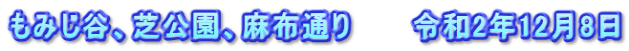 もみじ谷、芝公園、麻布通り　　　令和2年12月8日