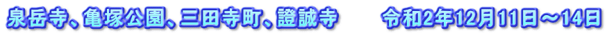 泉岳寺、亀塚公園、三田寺町、證誠寺　　　令和2年12月11日～14日