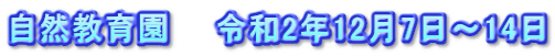 自然教育園　　令和2年12月7日～14日