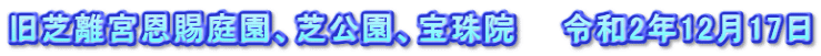 旧芝離宮恩賜庭園、芝公園、宝珠院　　令和2年12月17日