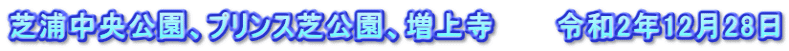 芝浦中央公園、プリンス芝公園、増上寺　　　令和2年12月28日
