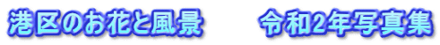 港区のお花と風景　　　令和2年写真集