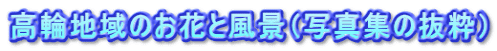 高輪地域のお花と風景（写真集の抜粋）