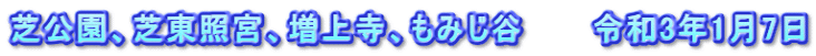 芝公園、芝東照宮、増上寺、もみじ谷　　　令和3年1月7日
