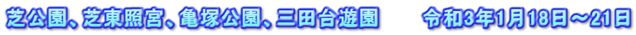芝公園、芝東照宮、亀塚公園、三田台遊園　　　令和3年1月18日～21日