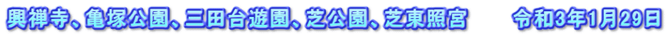 興禅寺、亀塚公園、三田台遊園、芝公園、芝東照宮　　　令和3年1月29日