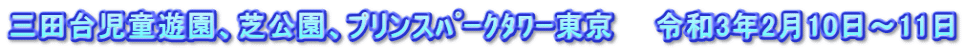 三田台児童遊園、芝公園、プリンスﾊﾟｰｸﾀﾜｰ東京　　令和3年2月10日～11日