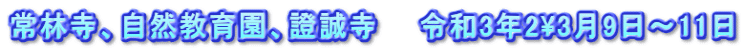 常林寺、自然教育園、證誠寺　　令和3年2\3月9日～11日