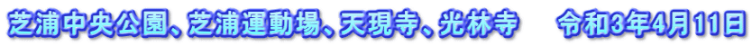 芝浦中央公園、芝浦運動場、天現寺、光林寺　　令和3年4月11日