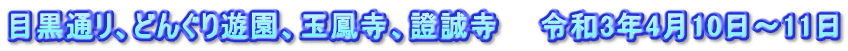目黒通リ、どんぐり遊園、玉鳳寺、證誠寺　　令和3年4月10日～11日