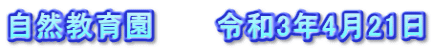 自然教育園　　　令和3年4月21日