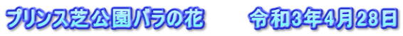 プリンス芝公園バラの花　　　令和3年4月28日