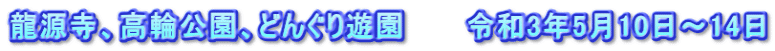 龍源寺、高輪公園、どんぐり遊園　　　令和3年5月10日～14日