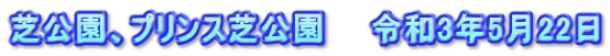 芝公園、プリンス芝公園　　令和3年5月22日