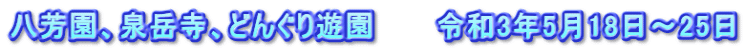 八芳園、泉岳寺、どんぐり遊園　　　令和3年5月18日～25日