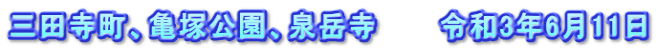 三田寺町、亀塚公園、泉岳寺　　　令和3年6月11日