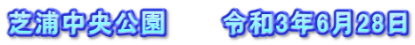 芝浦中央公園　　　令和3年6月28日