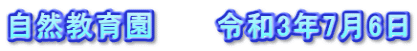 自然教育園　　　令和3年7月6日